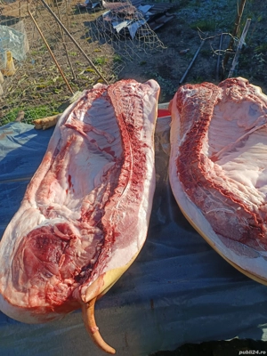 disponibil jumatate porc sau sfert