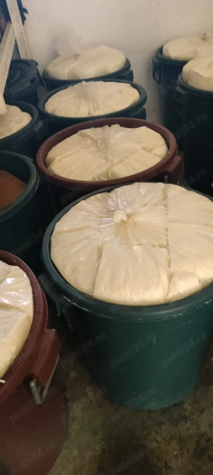 Vând brânză de oaie maturată