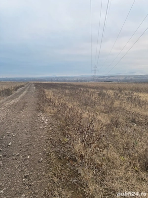 Vand Teren Cristur deva 5 euro  - imagine 5