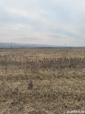 Vand Teren Cristur deva 5 euro  - imagine 4