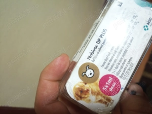 Pechinez cățelușa OFERTA    deparazit și cu primul vaccin facut - imagine 3