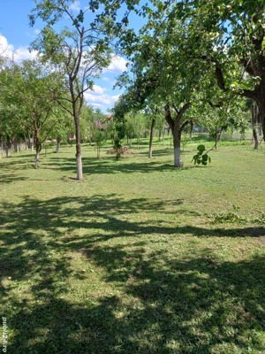 casă de vînzare, Ciglean, Salaj  - imagine 4