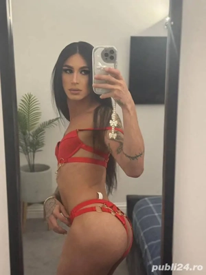    Trans Dominatoare Exclusiv Activă   Te supui sau pleci.   