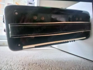 Acordeon Parrot 80 basi