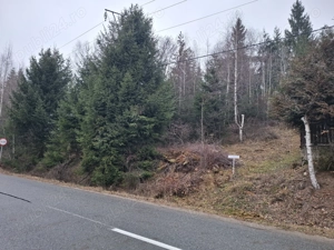 Teren de vanzare in statiunea Muntele Baisorii - imagine 4