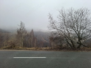 Teren de vanzare in statiunea Muntele Baisorii - imagine 3