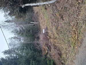 Teren de vanzare in statiunea Muntele Baisorii - imagine 6