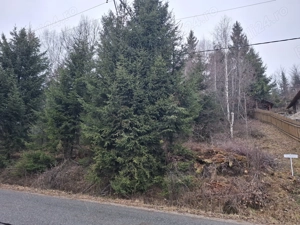 Teren de vanzare in statiunea Muntele Baisorii - imagine 8