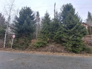 Teren de vanzare in statiunea Muntele Baisorii - imagine 10