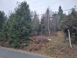 Teren de vanzare in statiunea Muntele Baisorii - imagine 9