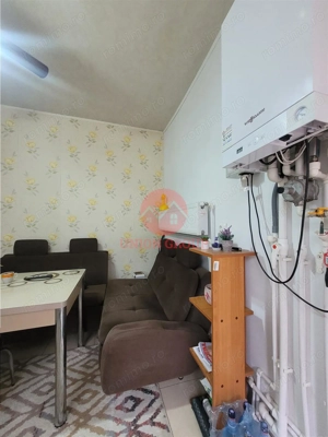 Vila P+1E, Mobilata si Utilata,  Pozitionata Excelent, Ultracentral, Zona Capitol - imagine 20