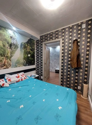 Garsoniera Teiul Doamnei- Oțesani  - imagine 8