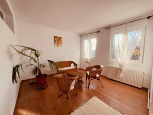 Reședință elegantă in zona Iancu Nicolae - imagine 19