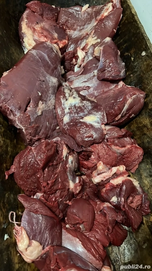 Carne de strut proaspata 