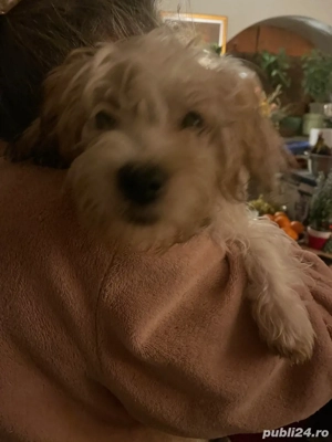 Donez cateii - imagine 2