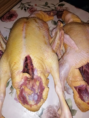 Rate mute tăiate  - imagine 3