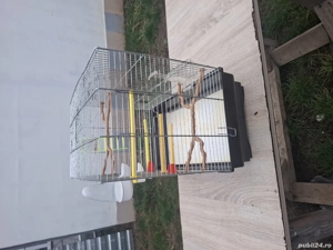 Colivie pentru 2 perusi - imagine 2