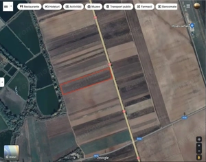 Teren Nucet 8018m Deschidere 21m la DN71 Targoviste - imagine 3