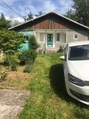 Trăiește la marginea pădurii! Casă, 3.200 mp curte + 2.000 mp PĂDURE proprie în Apostolache!   - imagine 3