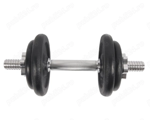 Vand set gantere profesionale de fier( nu nisip) 10kg bucata