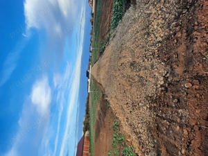 Parcele teren intravilan de vânzare  - imagine 2