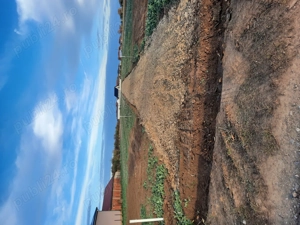 Parcele teren intravilan de vânzare  - imagine 3