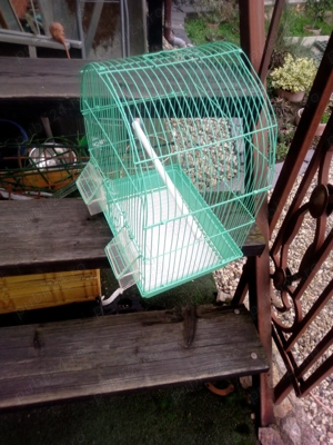 Vând colivie pasari - imagine 3