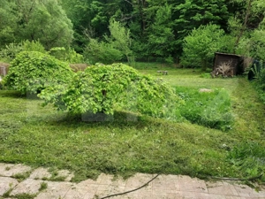 Casă de Vacanță pe Valea Ighielului – 3 camere, 2500 mp curte - imagine 11