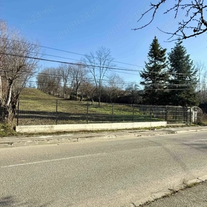 Teren Pucioasa 4800m Deschidere 19m la Str Garofitei Intravilan - imagine 4