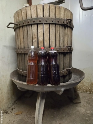 vin de casă  - imagine 4