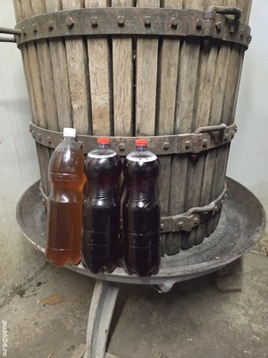 vin de casă  - imagine 5