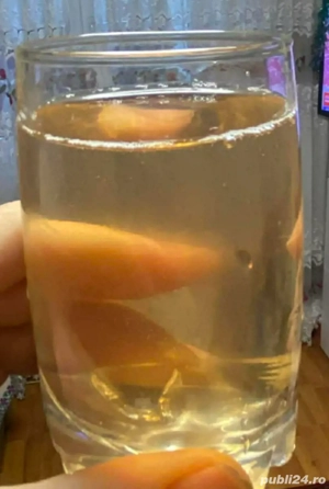  Vand vin alb natural netratat