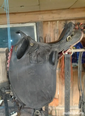 Ham de vanzare - imagine 3