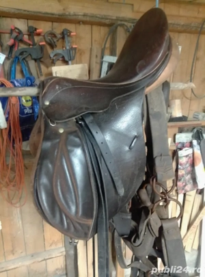 Ham de vanzare - imagine 4