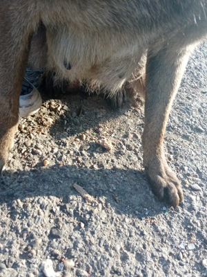 100euro..     - imagine 3