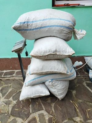 Șrot floarea soarelui 