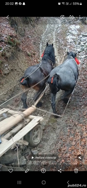 de vânzare  - imagine 3