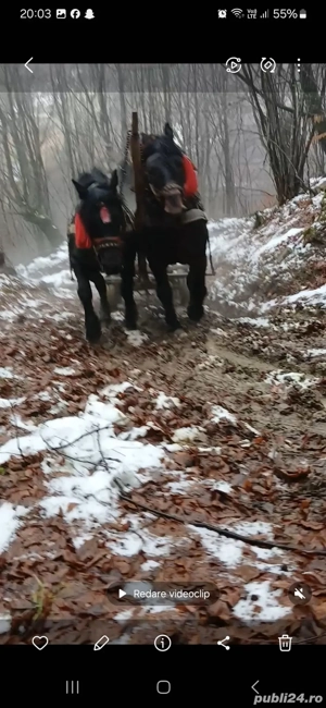 de vânzare  - imagine 2