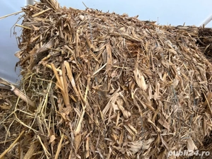 vand baloti tocatura