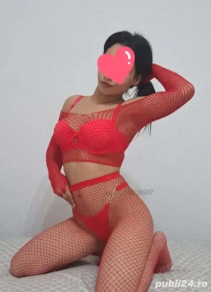 Letisia bruneta jucausa