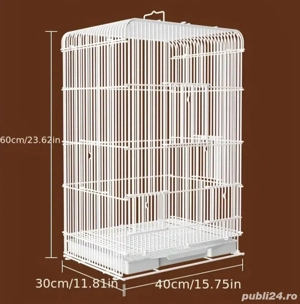 papagal calugar nimfa amorez agapornis - imagine 4