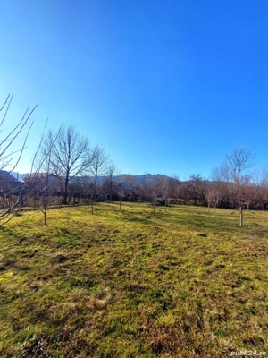 Teren intravilan de vânzare  - imagine 4