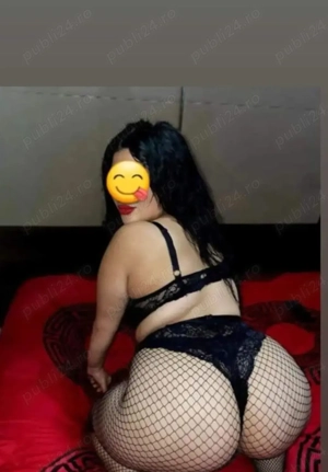 New in domeniu cu experienta  - imagine 3