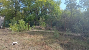 Teren intravilan Teslui  - imagine 2