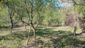 Teren intravilan Teslui  - imagine 3