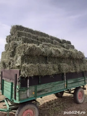 Baloti de lucerna coasa 3,4,5,6 si otavă amestecată cu lucerna extra calitate 