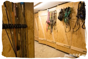 Angajez muncitor la fermă de cai în Austria - imagine 2