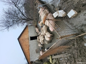 70,80,90,100 - imagine 2