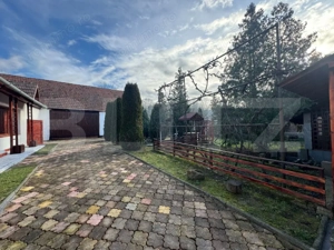 Vand casa cu 4 camere in Orastioara de Jos - imagine 19