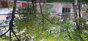 Chirie apartament Micro 16 Satu Mare - imagine 9